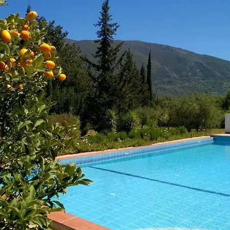 The Walnut Tree * Karavomylos