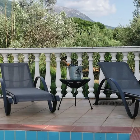 The Walnut Tree カラヴォミロス